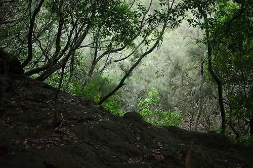 Σπίτι διακοπών Y Playa